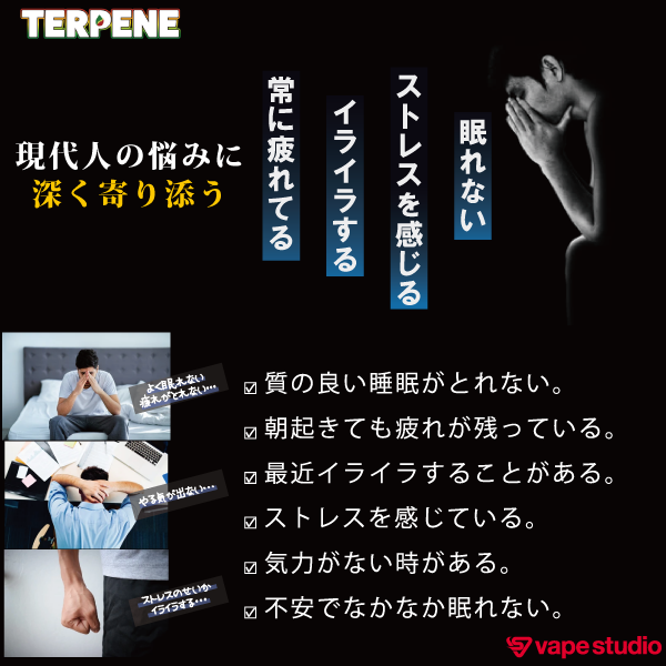 BI-SO TERPENE(テルペン) Super Lemon Haze カートリッジ